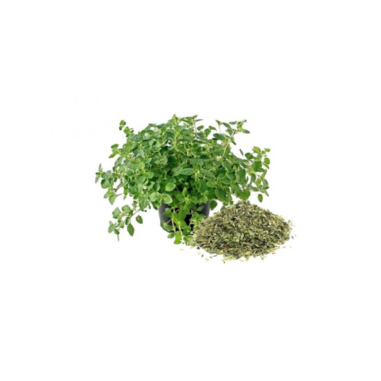 Oregano Maruntit 100g