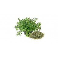 Oregano Maruntit 500g Oregano Maruntit 500g