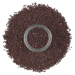 Boabe de mustar negru / brun 1kg Boabe de mustar negru / brun 1kg