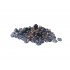 Coacaze negre deshidratate (Ribes nigrum) Bax 10kg - 73 lei / kg