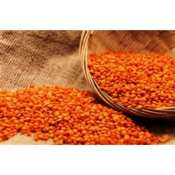 Linte rosie decorticata Bax 10 kg - 11 lei / kg Linte rosie decorticata Bax 10 kg - 11 lei / kg