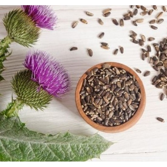 Beneficiile ceaiului de armurariu, planta care face minuni pentru sanatatea si silueta ta