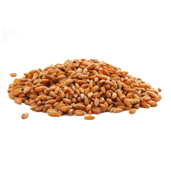 Grau spelta intreg 500g Grau spelta intreg 500g