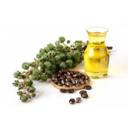 Ulei de ricin 5L, 49 Lei / L