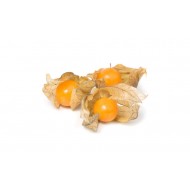 Bio Fructe de physalis deshidratate, fara zahar 150g Bio Fructe de physalis deshidratate, fara zahar 150g