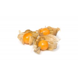 Bio Fructe de physalis deshidratate, fara zahar 150g Bio Fructe de physalis deshidratate, fara zahar 150g