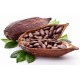 Boabe de cacao crude 1 kg