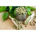 Cafea verde macinata 1Kg