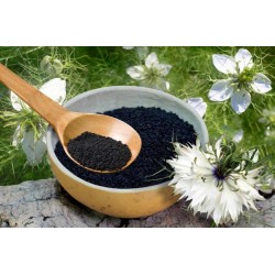 Chimen negru Negrilica 1Kg Chimen negru Negrilica 1Kg