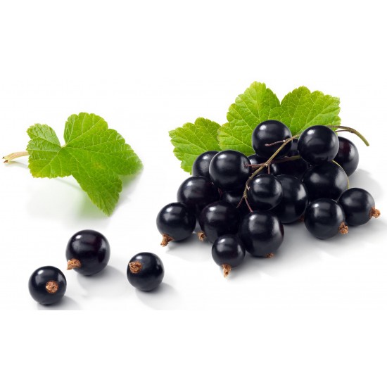Coacaze negre confiate (Ribes nigrum) 500g Coacaze negre confiate (Ribes nigrum) 500g