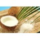 Nuca de cocos razuita 1kg