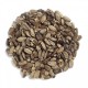 Seminte de Armurariu Bax 10 kg - 19 lei / kg