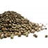 Seminte de Canepa Nedecorticate crude Bax 25 kg - 23 lei / kg
