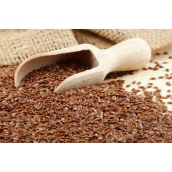 Seminte de in 1 kg Seminte de in 1 kg