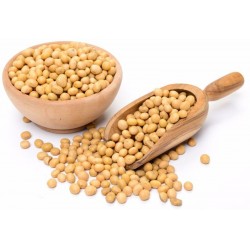 Bio soia boabe 500g